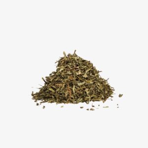 chanca piedra infusión