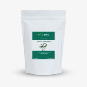 hoja de eucalipto entera