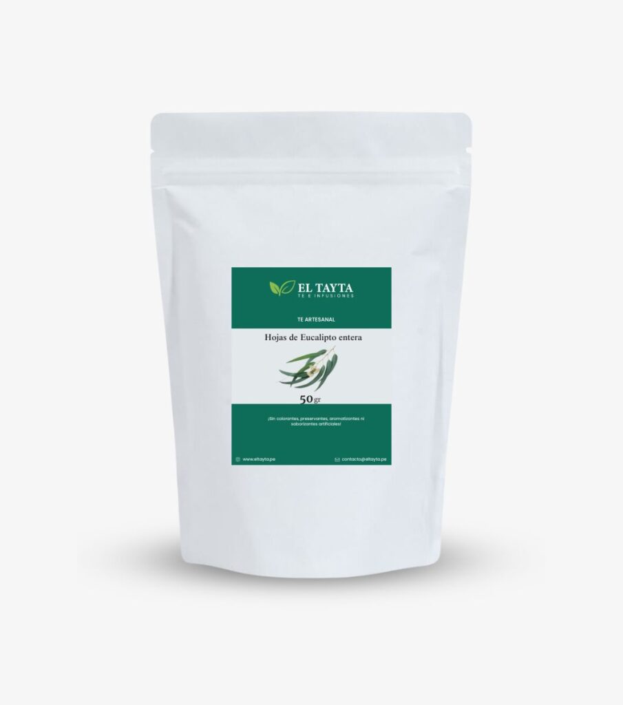 hoja de eucalipto entera