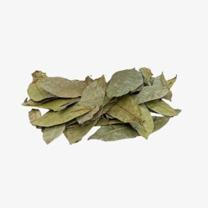 hojas de guanabana entera